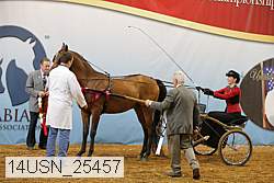 14usn_25457 proof