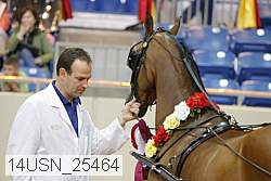 14usn_25464 proof