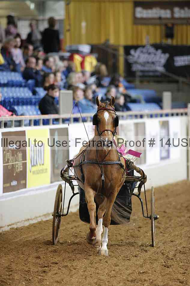 Proof 14usn_25486