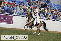 14usn_39262 proof