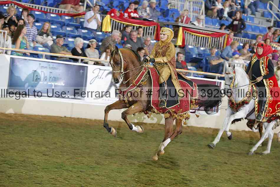 Proof 14usn_39295