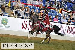 14usn_39381 proof