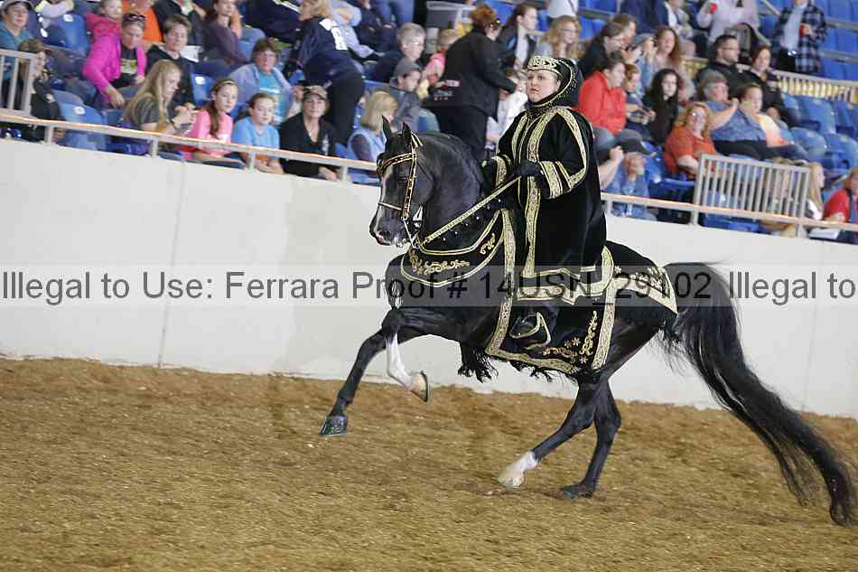Proof 14usn_29102