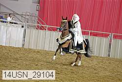 14usn_29104 proof