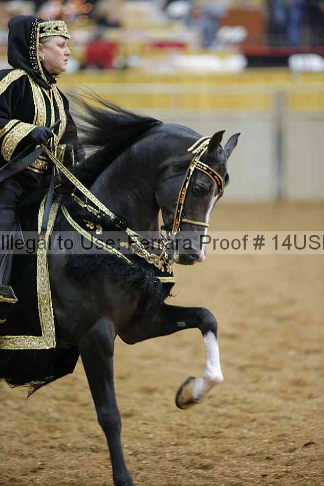 Proof 14usn_29105