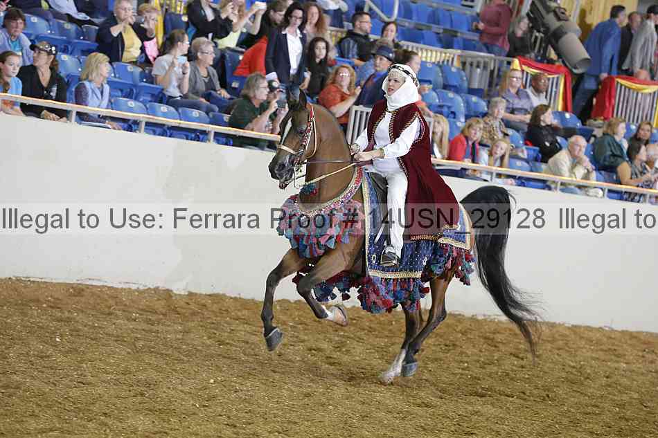Proof 14usn_29128