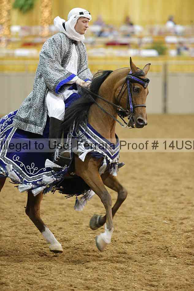 Proof 14usn_29129