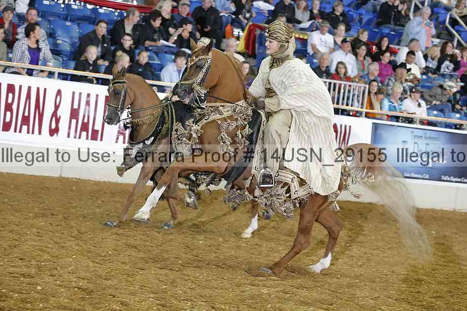 Proof 14usn_29155