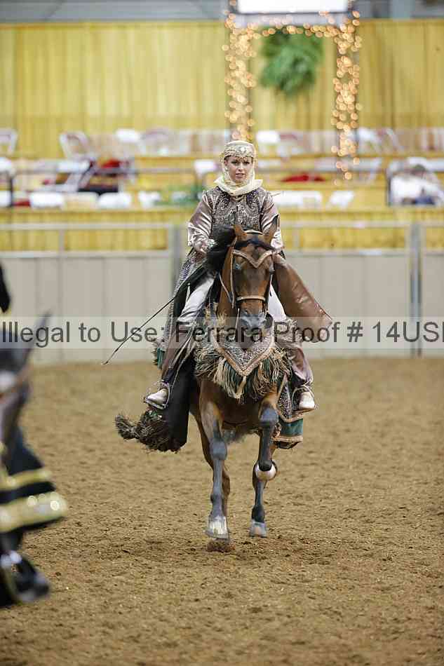 Proof 14usn_29177
