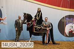 14usn_29206 proof