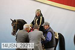 14usn_29210 proof