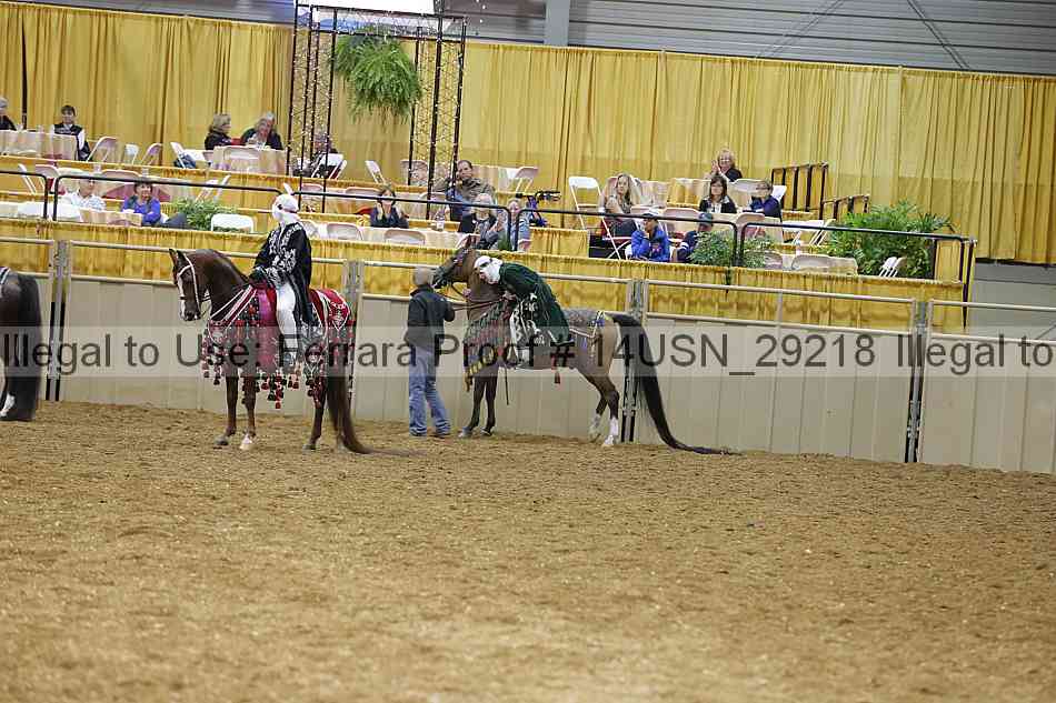 Proof 14usn_29218