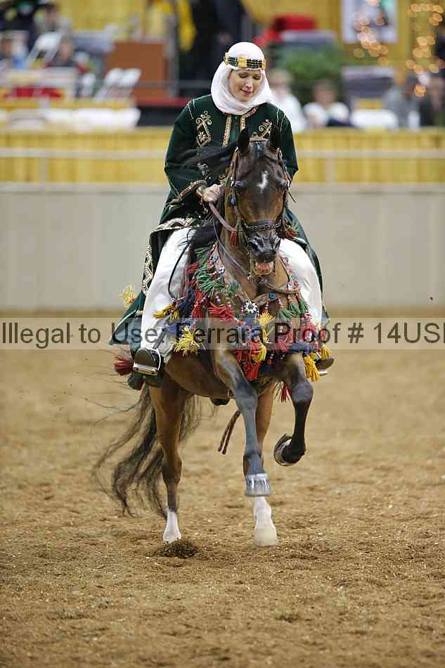 Proof 14usn_29219
