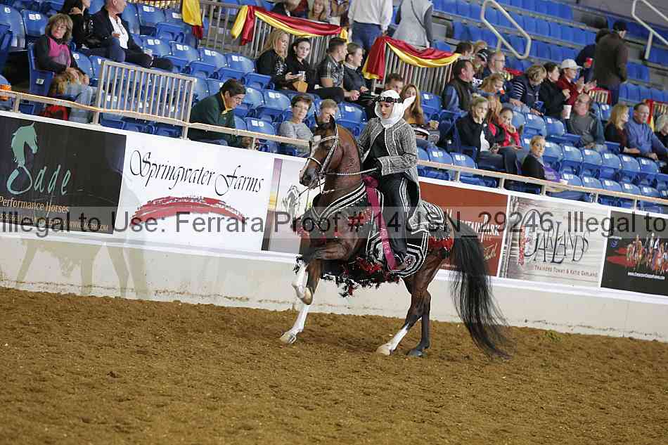 Proof 14usn_29246