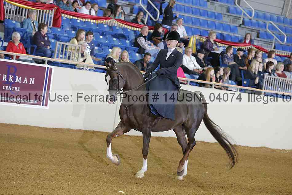 Proof 14usn_04074