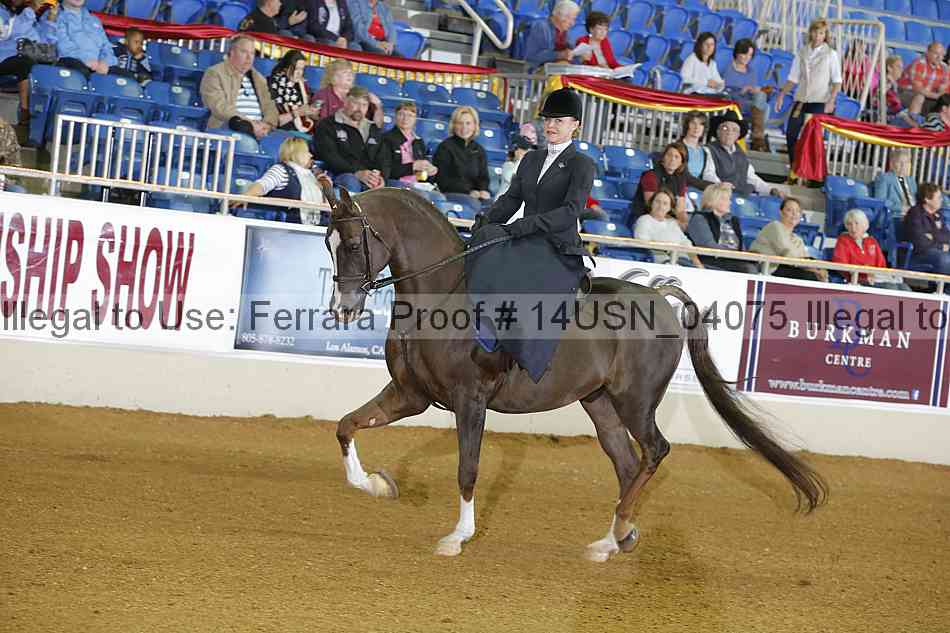 Proof 14usn_04075
