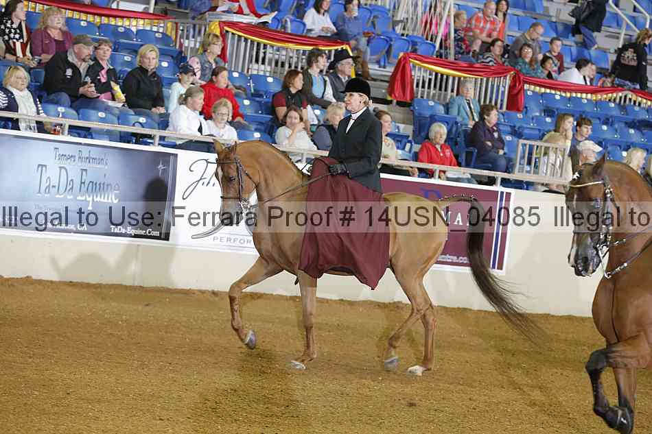 Proof 14usn_04085