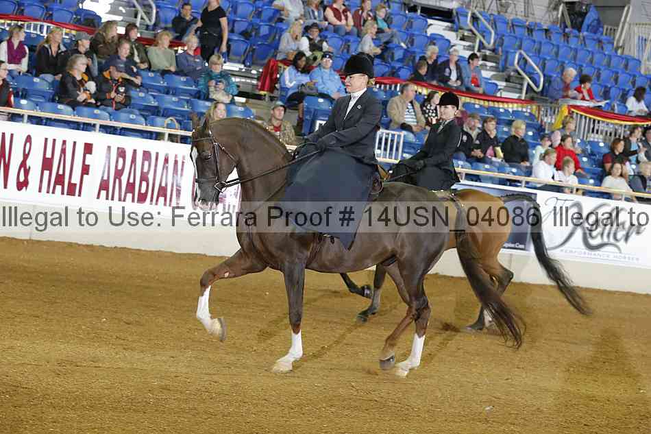 Proof 14usn_04086
