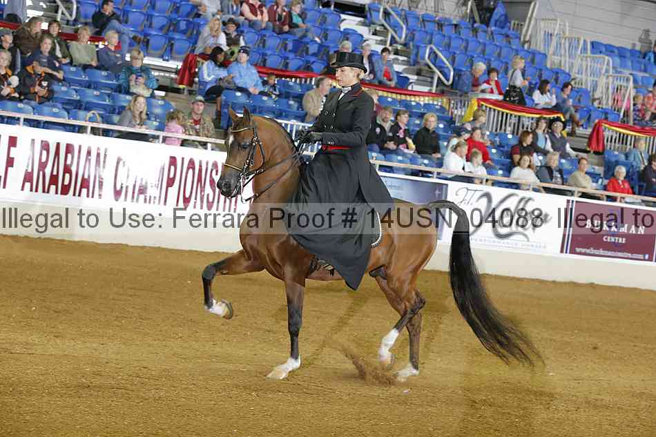 Proof 14usn_04088