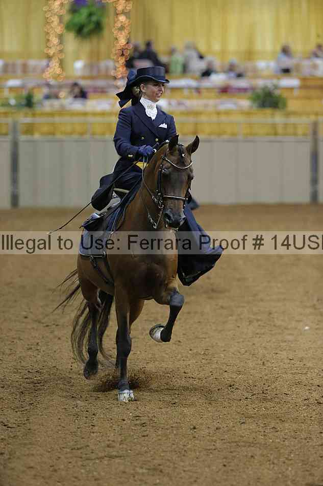 Proof 14usn_04093