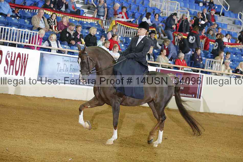 Proof 14usn_04096