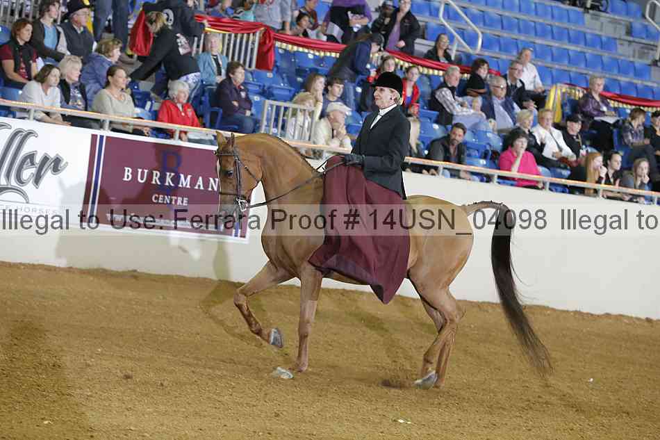 Proof 14usn_04098