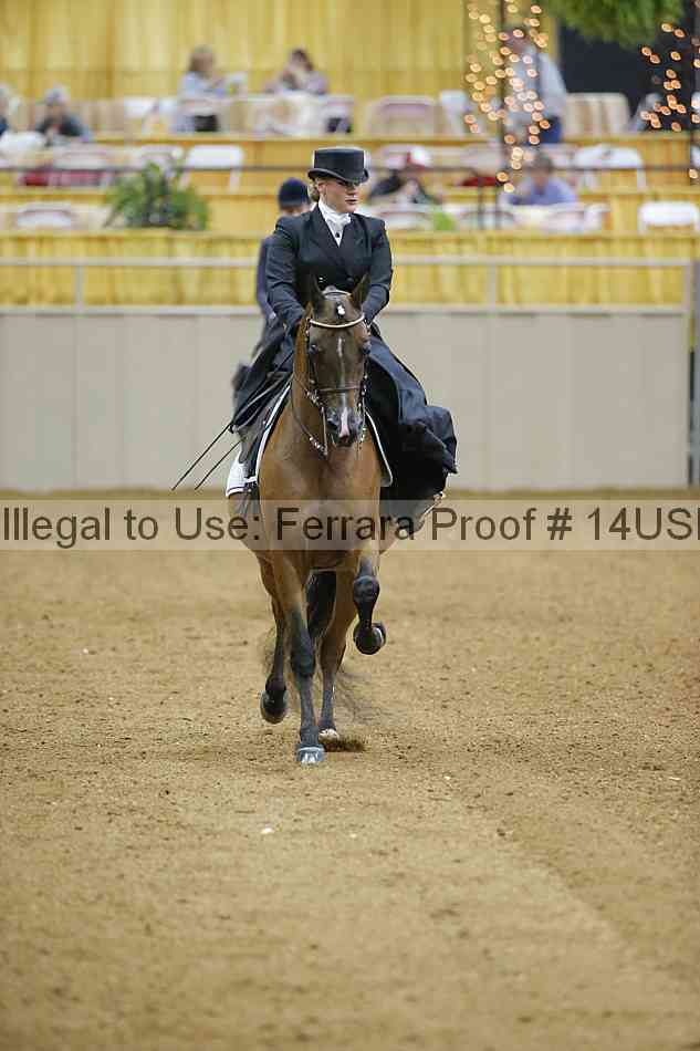Proof 14usn_04099