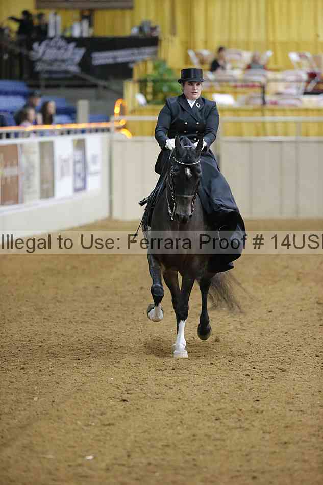 Proof 14usn_04102