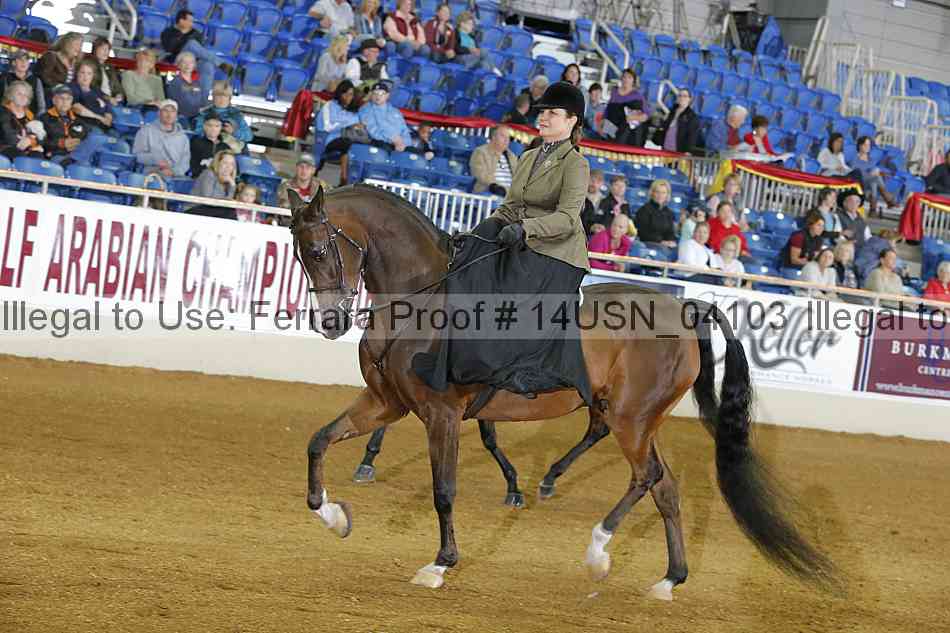 Proof 14usn_04103