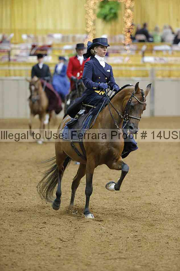 Proof 14usn_04104