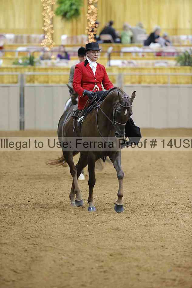Proof 14usn_04105
