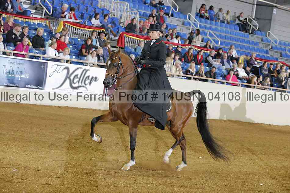 Proof 14usn_04108
