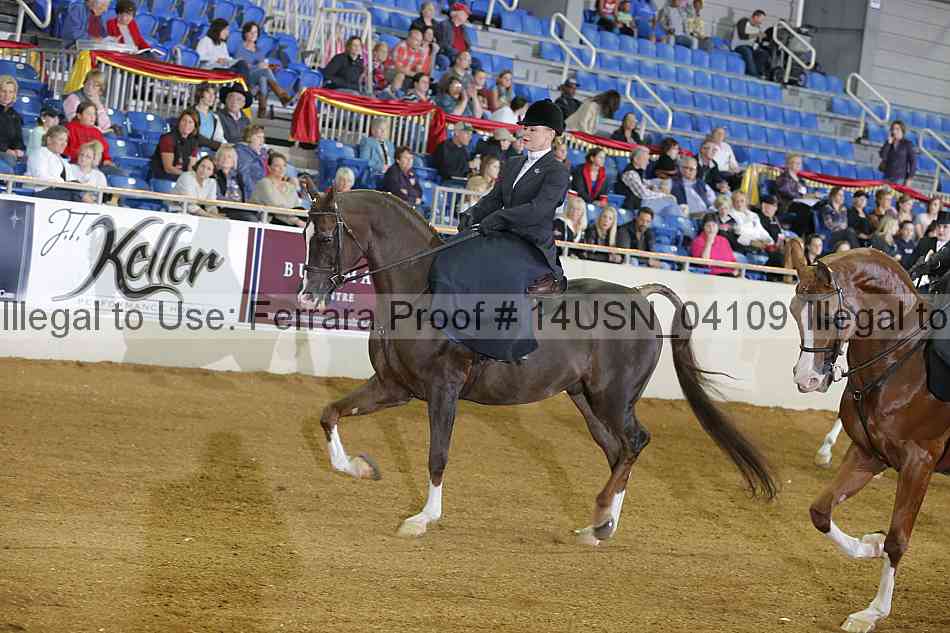 Proof 14usn_04109