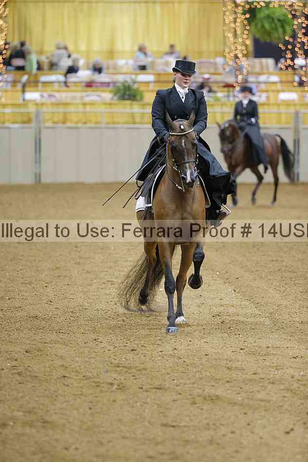 Proof 14usn_04113