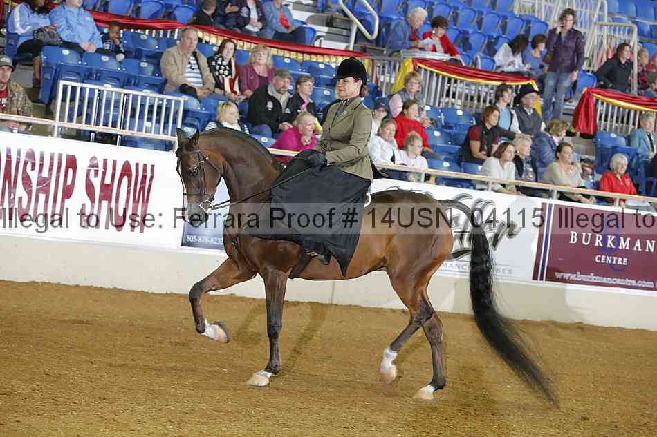 Proof 14usn_04115