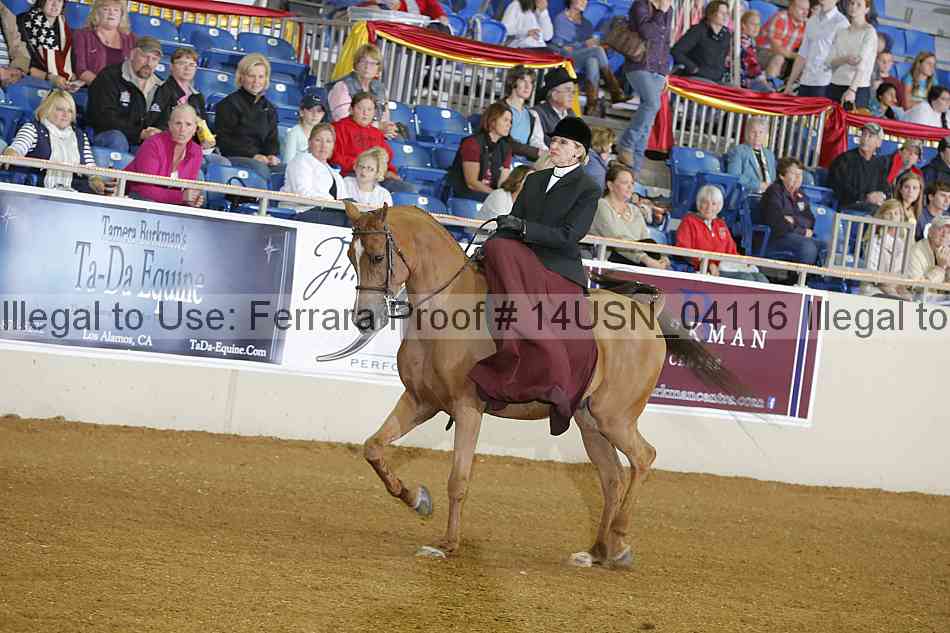 Proof 14usn_04116