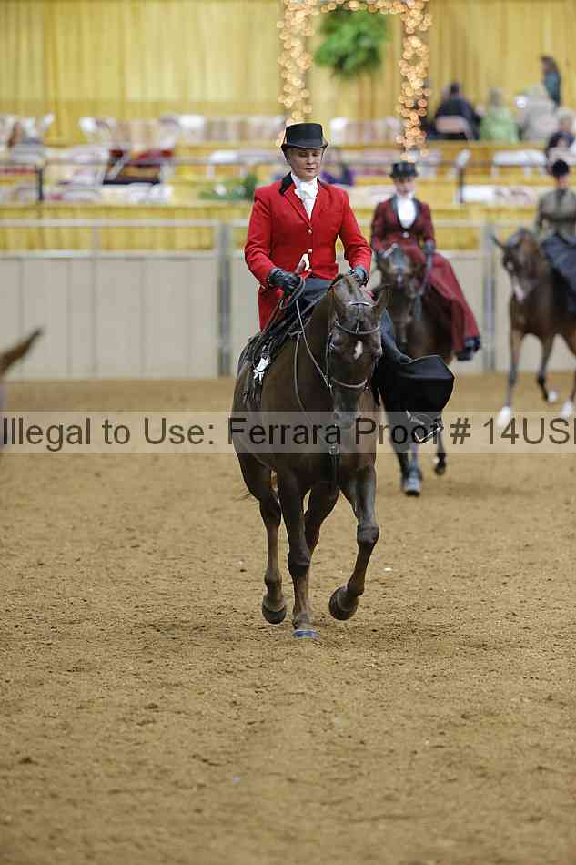 Proof 14usn_04118