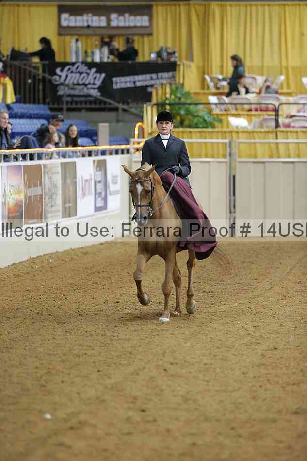 Proof 14usn_04124