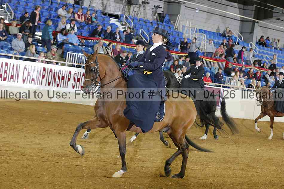 Proof 14usn_04126