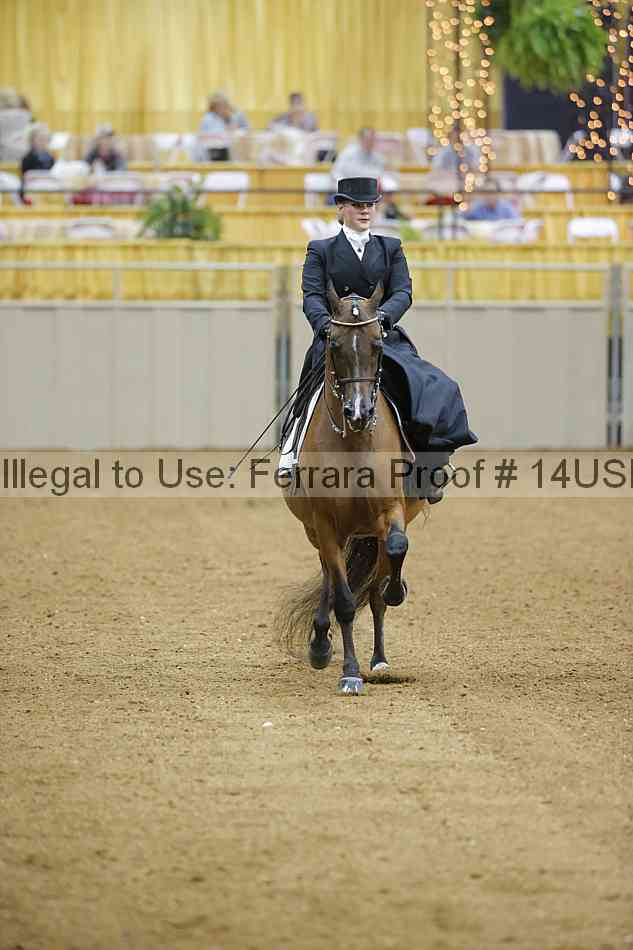 Proof 14usn_04127