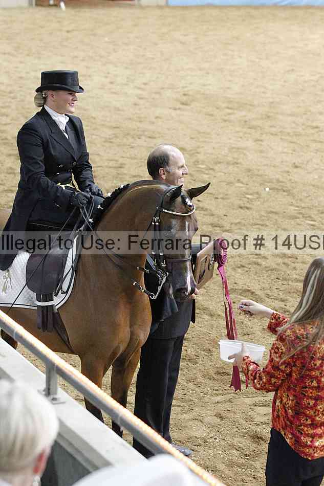 Proof 14usn_04145