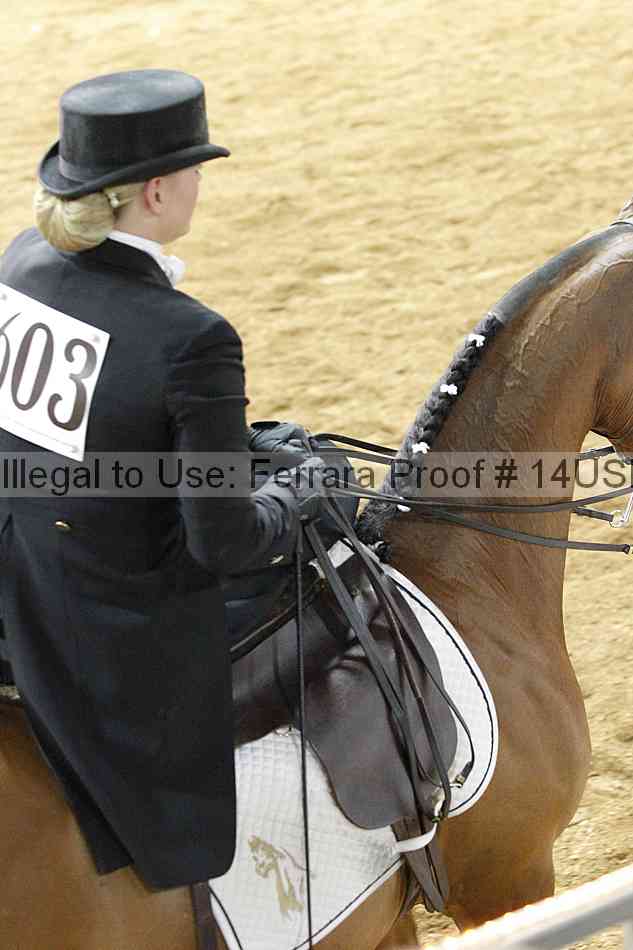 Proof 14usn_04148