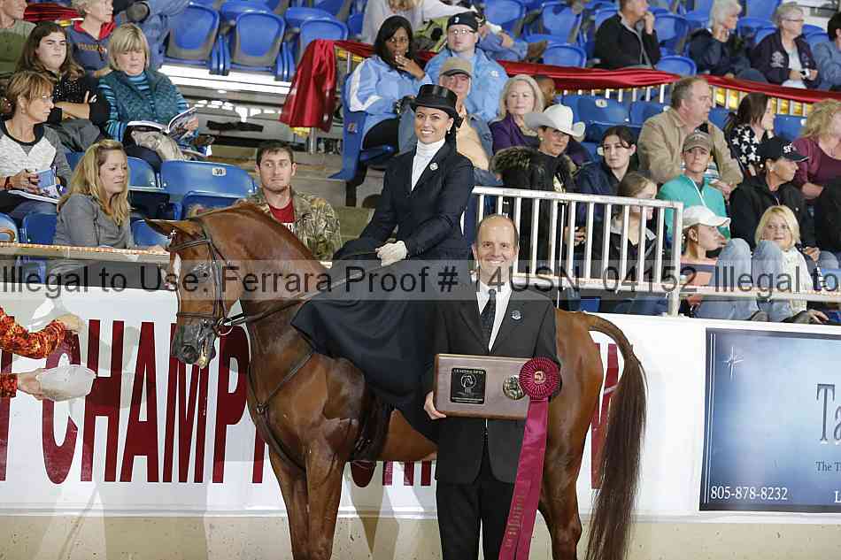 Proof 14usn_04152
