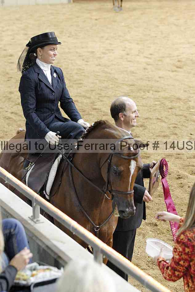 Proof 14usn_04153