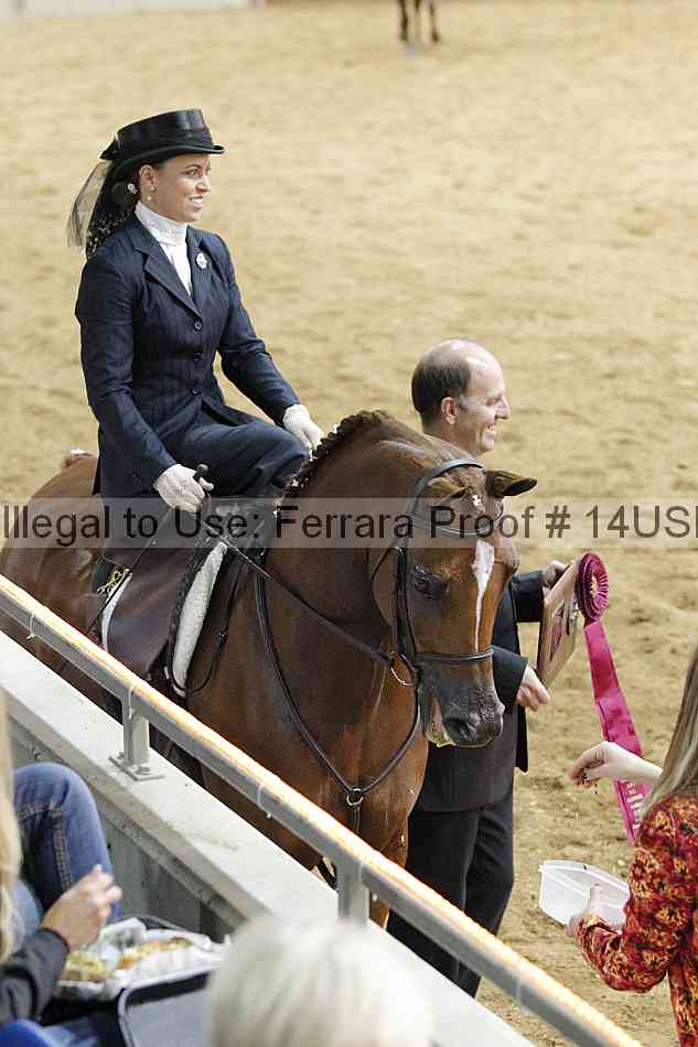 Proof 14usn_04154