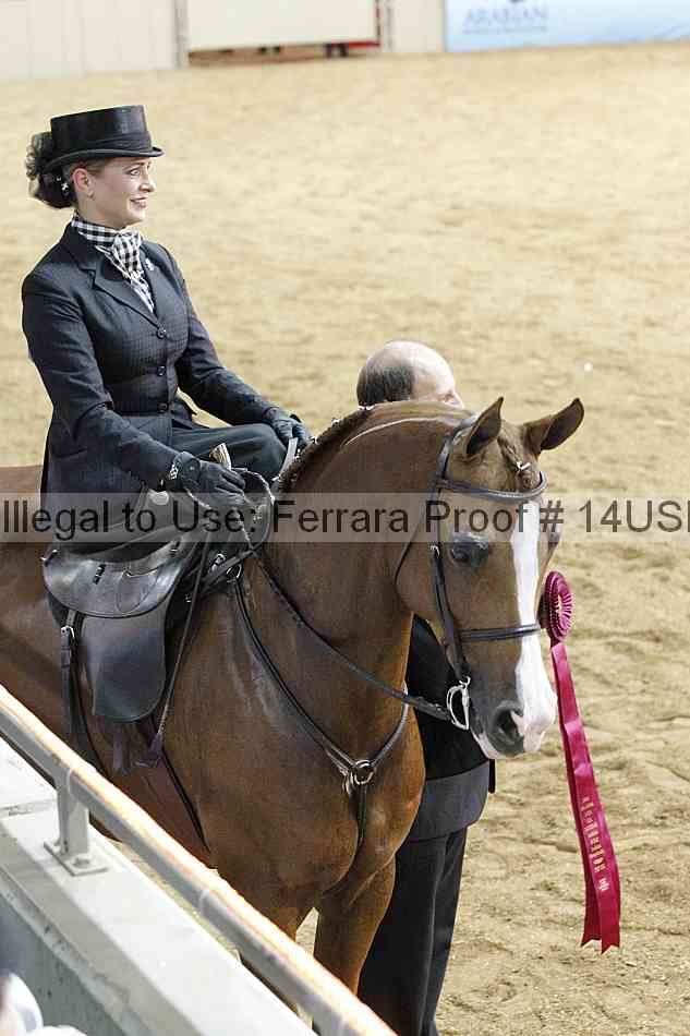 Proof 14usn_04169