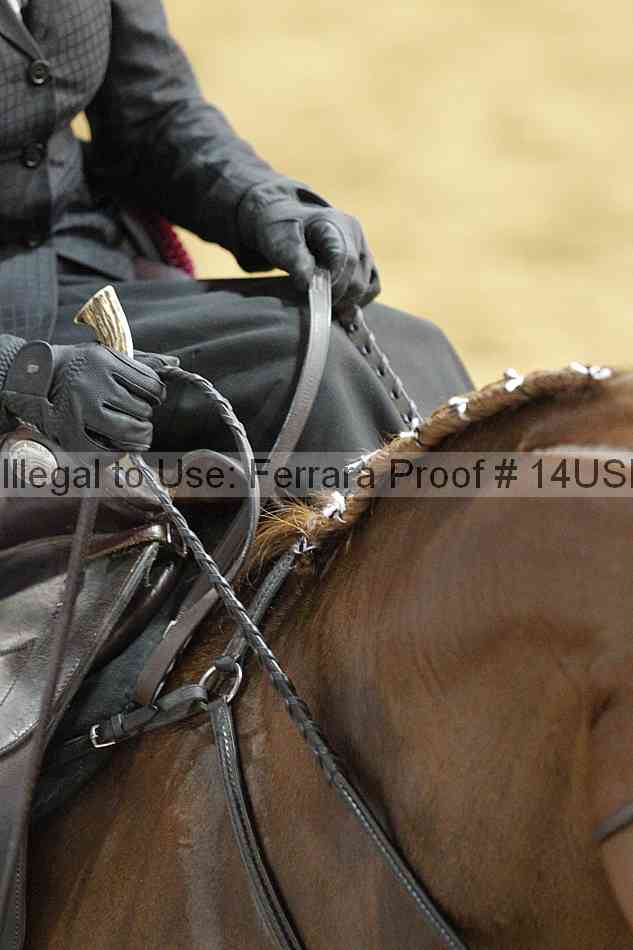 Proof 14usn_04171