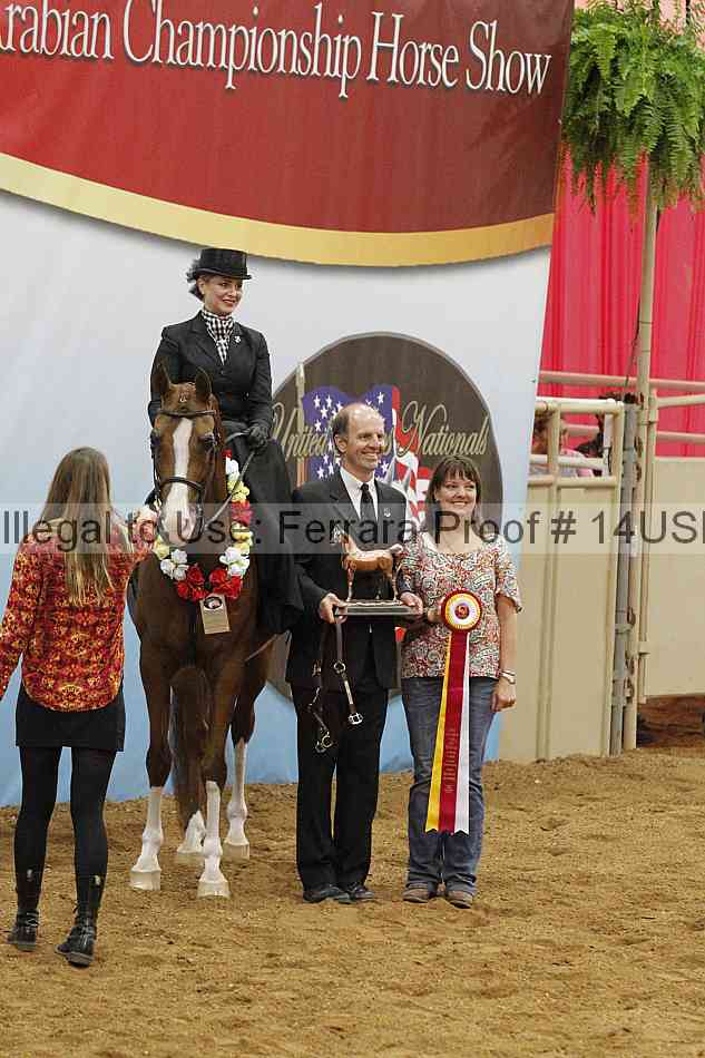 Proof 14usn_04190