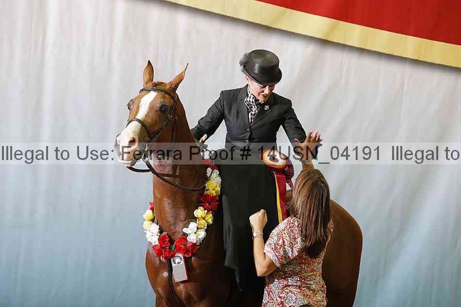 Proof 14usn_04191
