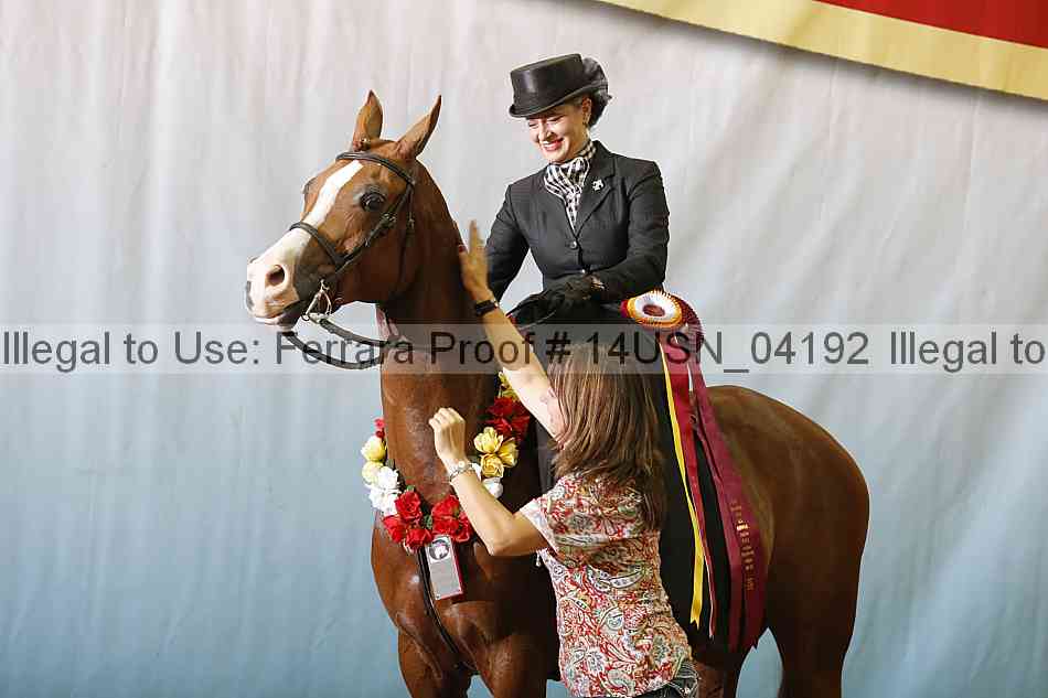 Proof 14usn_04192